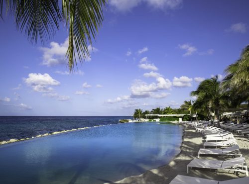 Papagayo curacao